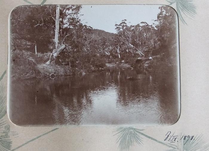 DrRPfeiffer-1899 121